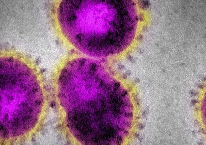 Here Are The Very Important Differences between Coronavirus and