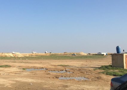 The Israeli occupation destroys agricultural crops in Al-Naqab