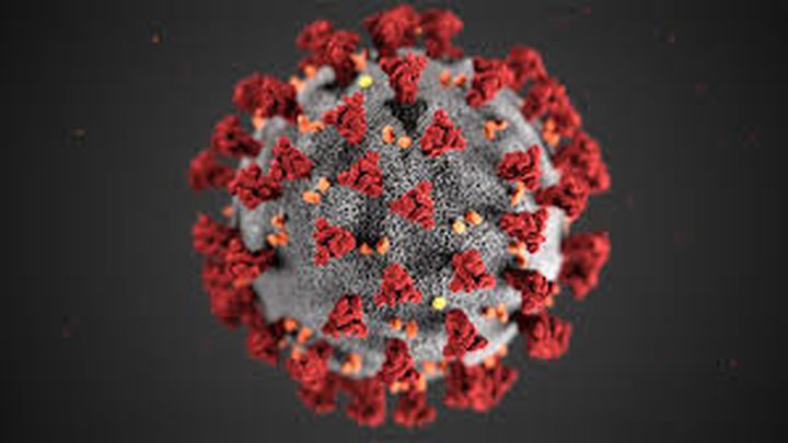 New coronavirus stable for hours on surfaces