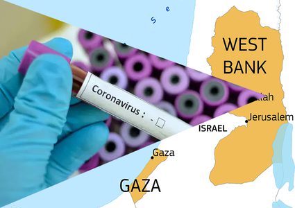 Assaf: Israel wants the COVID-19 to spread in Palestine