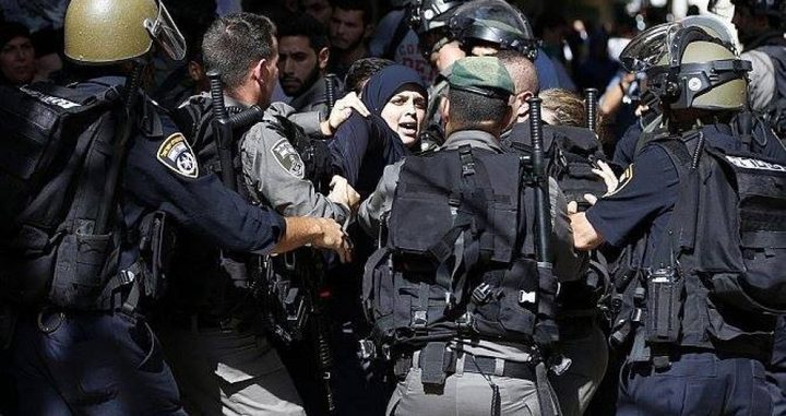 The occupation forces detain 7 Palestinians from Shu’afat