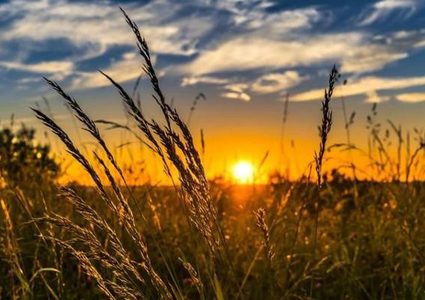 Weather Forecast: Significant rise in temperature