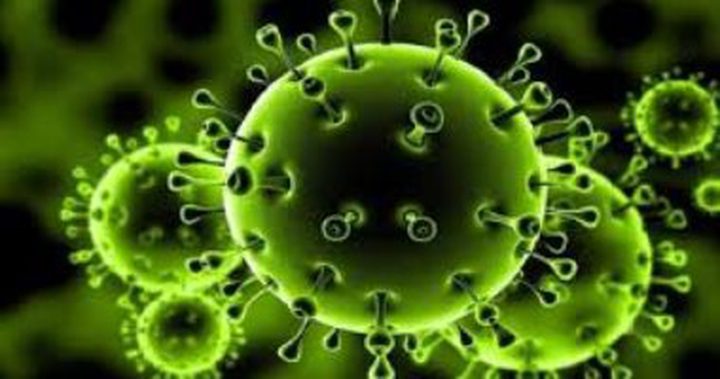 Coronavirus may affect brain and nervous system