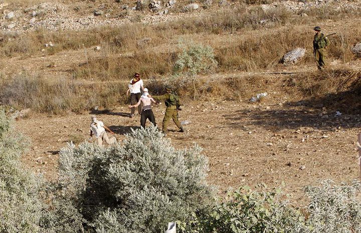 Israeli settlers prevent Palestinians from accessing their lands