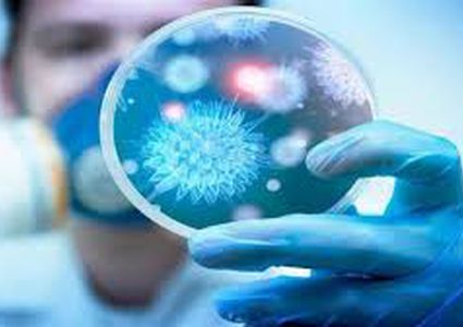 Officially confirmed: 217 total cases of Covid-19 in Palestine