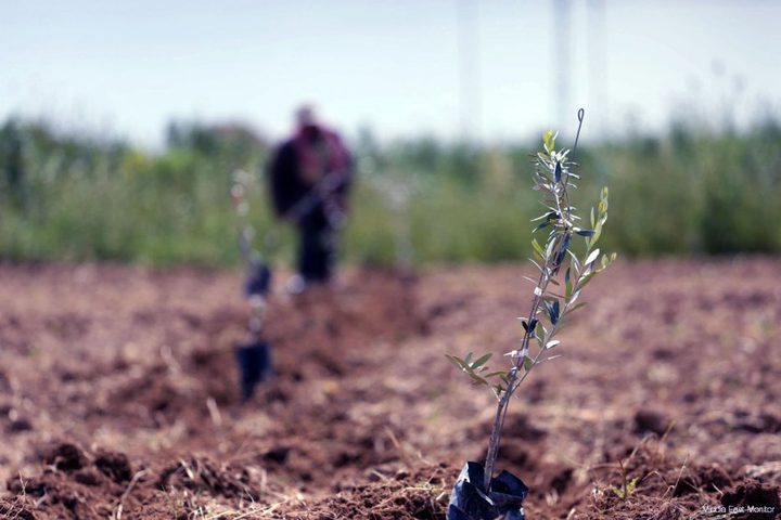 Israel to halt aerial herbicide spraying in Gaza amid coronavirus