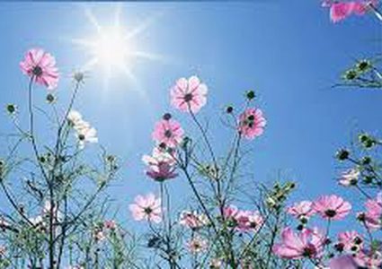 The weather: Slight rise in temperature