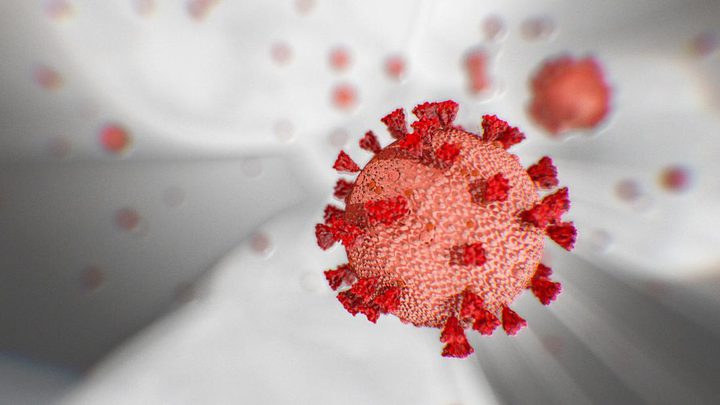 New coronavirus cases confirmed in West Bank