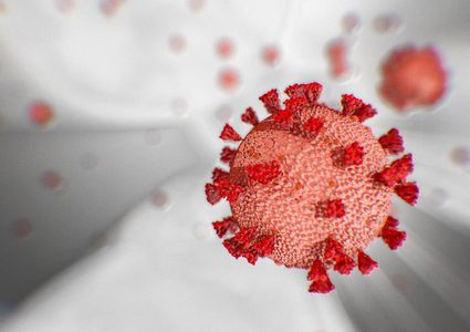 New coronavirus cases confirmed in West Bank