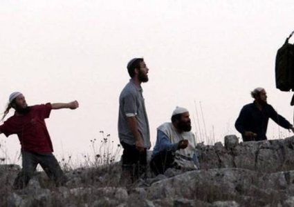 Israeli settlers burn two Palestinian vehicles in Jordan Valley