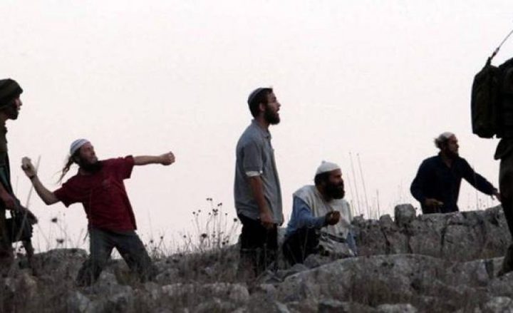 Israeli settlers burn two Palestinian vehicles in Jordan Valley