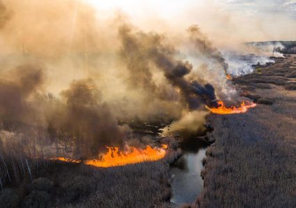Wildfires moves dangerously near Chernobyl nuclear plant