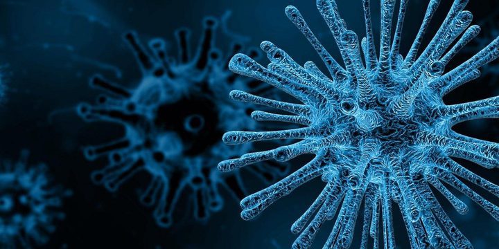 A new strain of coronavirus discovered in India