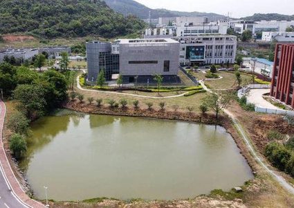 WHO: The coronavirus source is still not determined