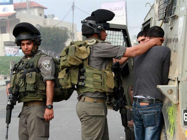 The Israeli occupation forces detained 14 Palestinians