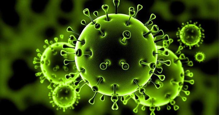 Coronavirus is expected to stay til September 2021