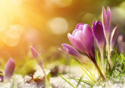 a Rise in Temperature While Remaining below the Seasonal Level