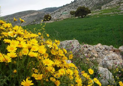 The temperature is above its seasonal level by 2 degrees