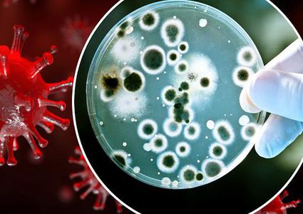 Chinese scientists: Corona will not disappear and will reappear