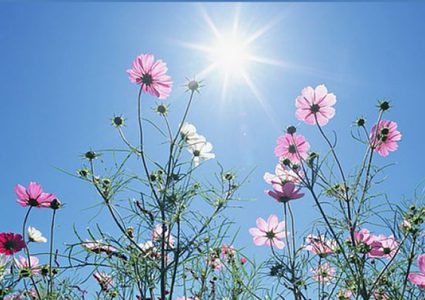 A drop in temperature