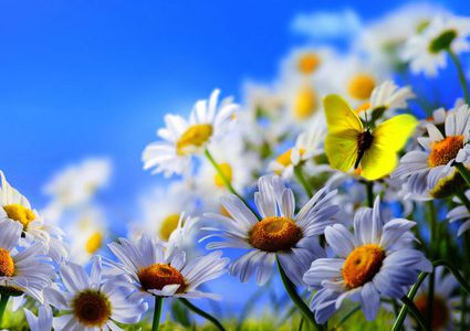 Warm climate with an increase in temperature