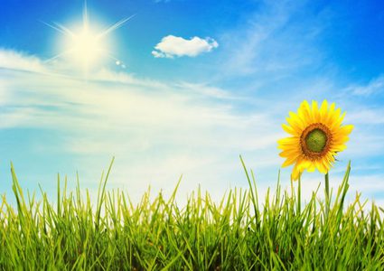 A rise in temperature