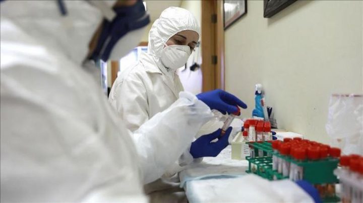 No new coronavirus cases in Palestine for the fifth day in a row