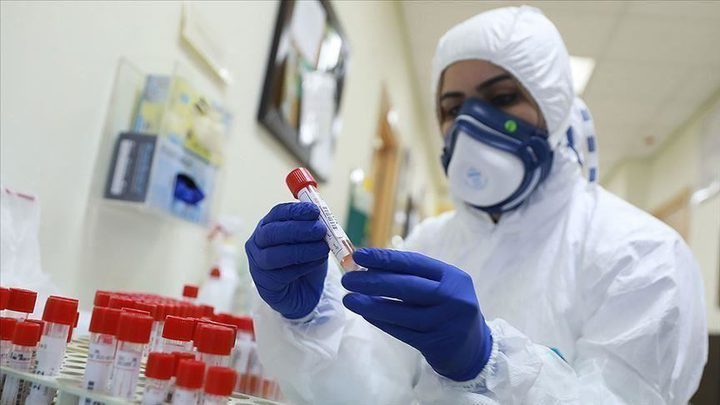 Al-Kaileh: Eight new coronavirus cases in Palestine
