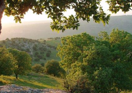 Weather : Clear and mild in most areas and relatively hot