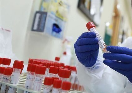 Seven new coronavirus cases recorded in the West Bank