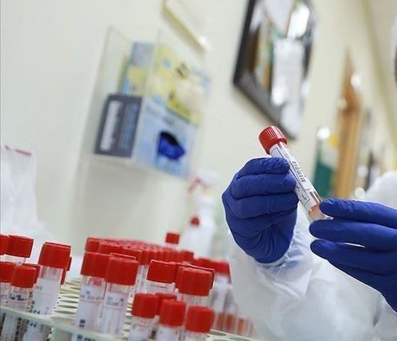 Seven new coronavirus cases recorded in the West Bank