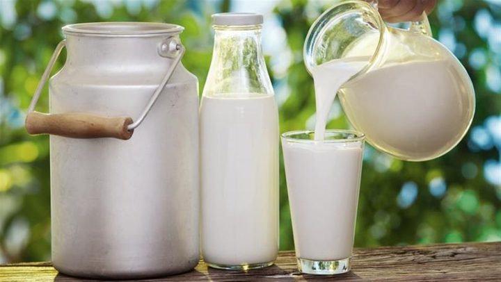 Goats' milk is better for aged people than cow's milk