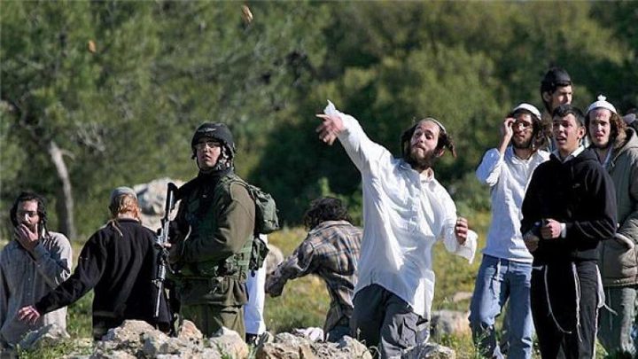 Jewish settlers attack a Palestinian village south of Hebron