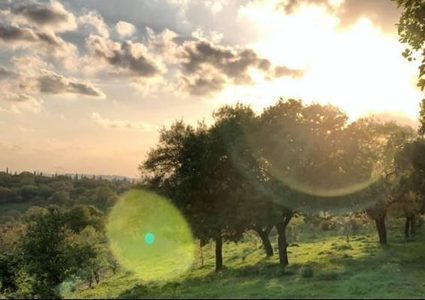 Weather forecast: No change in temperature