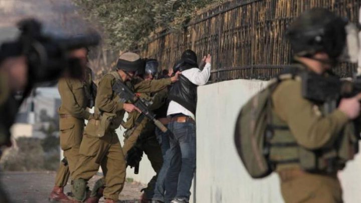 The occupation forces arrested 13 citizens from West Bank