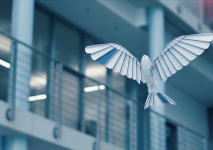 Germany .. Creating robotic birds that simulate the real ones