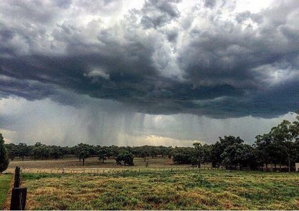 Weather: Temperature rise, above the seasonal average