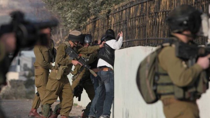 Israeli occupation forces  arrest 14 citizens from the West Bank, Palestine