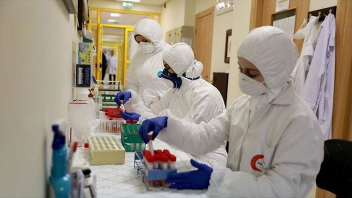Within 24 hours, 596 new coronavirus cases and 3 deaths in Palestine.