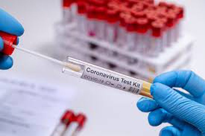 Palestine Coronavirus : 244 new cases of coronavirus, 527 recoveries