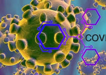 Two coronavirus fatalities in Palestine