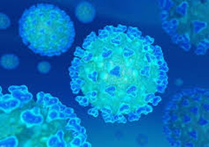 A new Covid-19 death among Palestinians in diaspora