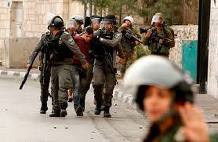 Israeli occupation forces detain a dozen Palestinians