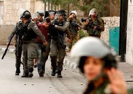 Israeli occupation forces detain a dozen Palestinians