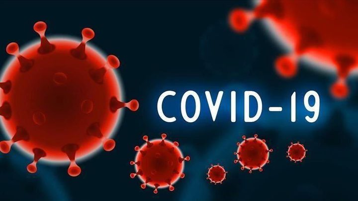 612 new coronavirus cases in Palestine