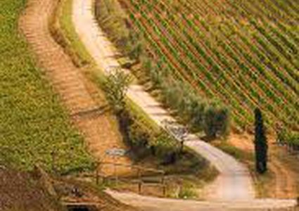 Weather Partly cloudy with seasonal temperature