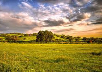 weather:  rise in temperature