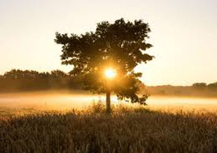 heatwave hits Palestine