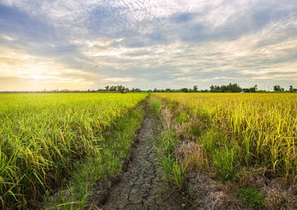 Weather: Heatwave effects continue