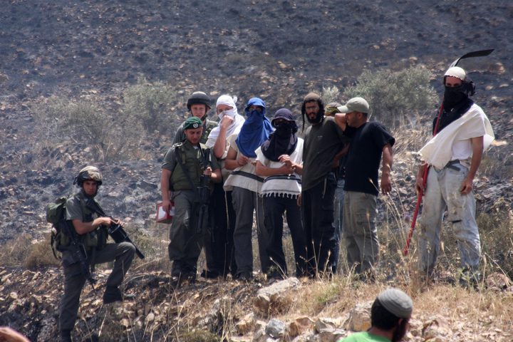 Palestinians prevent settlers from stealing their land